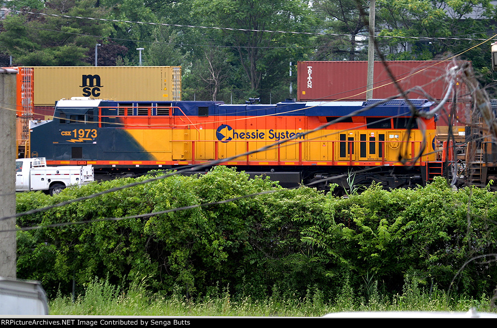 CSX Chessie System Heritage